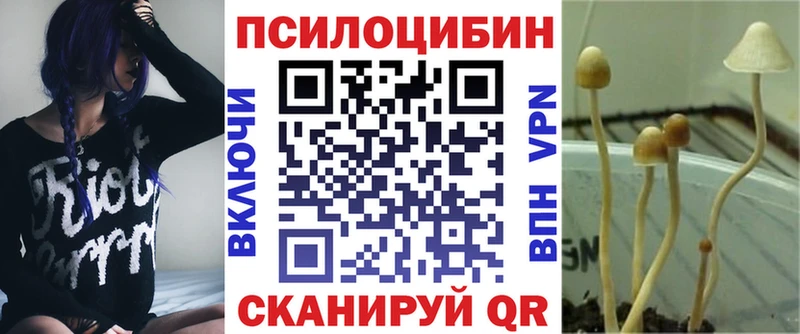 Галлюциногенные грибы мухоморы  закладки  Ленинск-Кузнецкий 